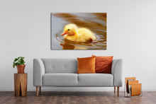 Afbeelding in Gallery-weergave laden, Not A Painting - Duckling #02
