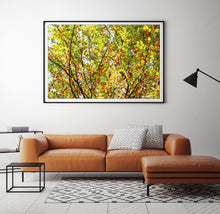 Afbeelding in Gallery-weergave laden, Not A Painting - Fall #05
