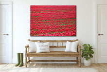 Afbeelding in Gallery-weergave laden, Not A Painting - Tulips #02
