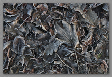 Afbeelding in Gallery-weergave laden, Not A Painting - Frozen Leaves #01
