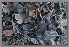 Afbeelding in Gallery-weergave laden, Not A Painting - Frozen Leaves #02

