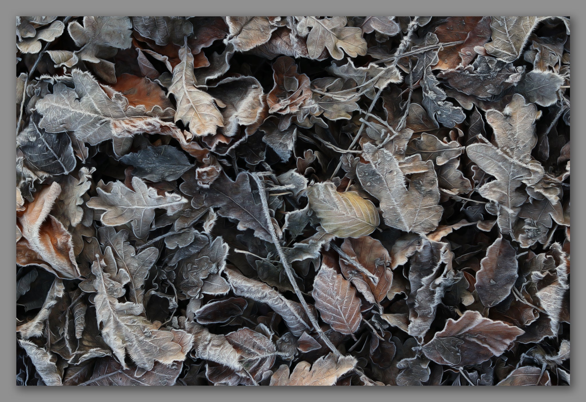 Not A Painting - Frozen Leaves #04