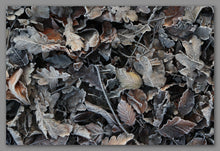Afbeelding in Gallery-weergave laden, Not A Painting - Frozen Leaves #04
