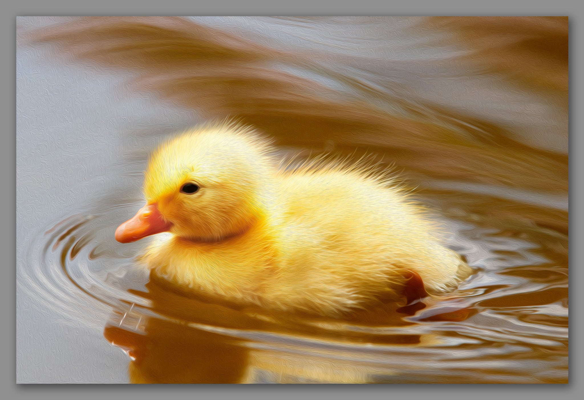 Not A Painting - Duckling #02