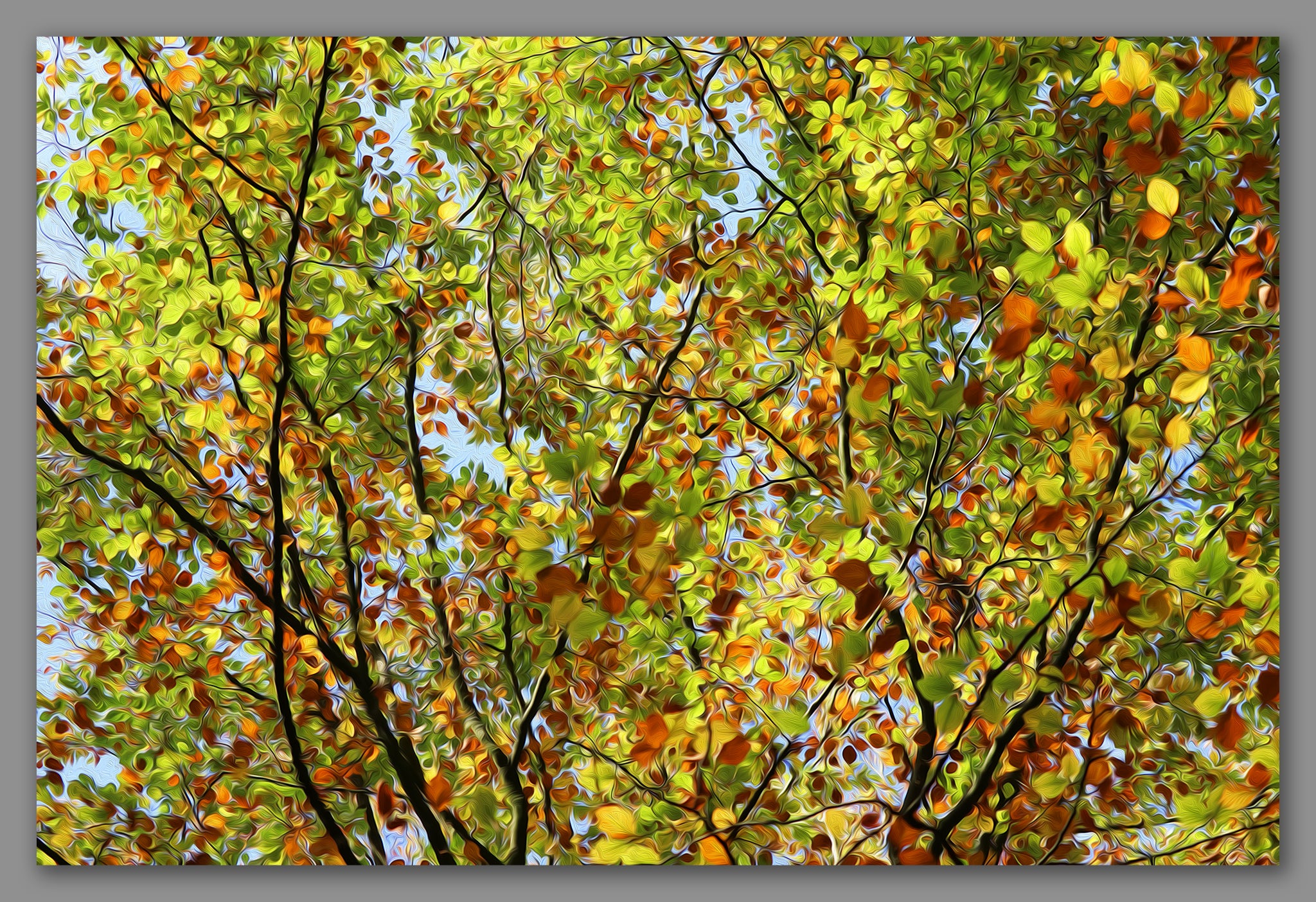 Not A Painting - Fall #05