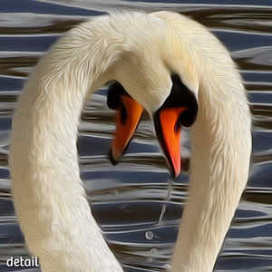 Not A Painting - Swans