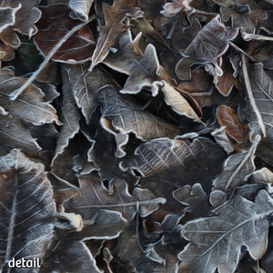 Not A Painting - Frozen Leaves #01