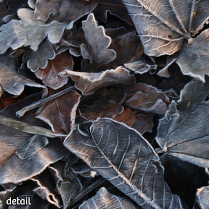 Not A Painting - Frozen Leaves #03
