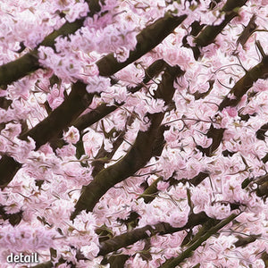 Not A Painting - Blossom #02