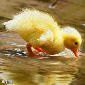 Not A Painting - Duckling #01