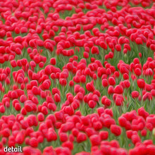 Afbeelding in Gallery-weergave laden, Not A Painting - Tulips #02
