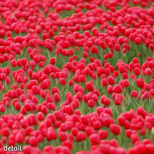 Not A Painting - Tulips #02